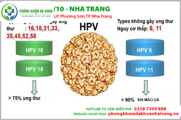 Virus HPV là gì?