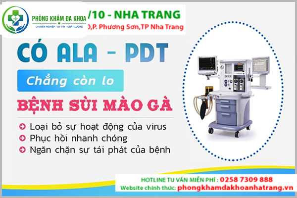 So sánh tính hiệu quả của các phương pháp hỗ trợ điều trị sùi mào gà hiện nay
