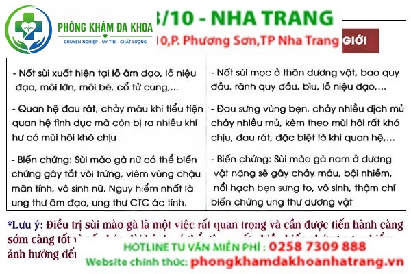 Các biểu hiện bệnh sùi mào gà ở nam và nữ giới