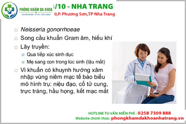 Neisseria gonorrhoeae chính là nguyên nhân gây ra bệnh lậu