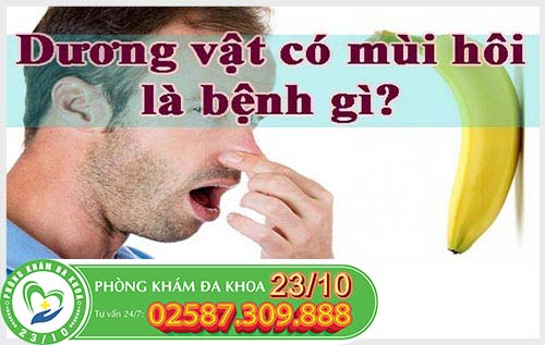 Dương vật bốc mùi là do đâu?